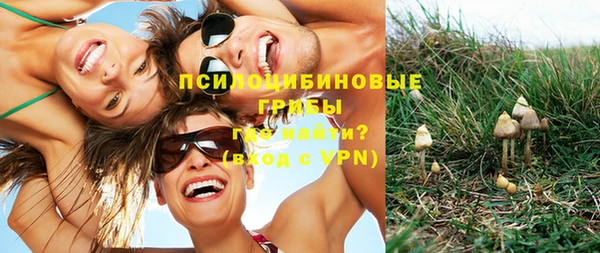 прущие крисы Алексеевка
