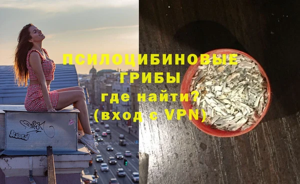 бошки Алзамай