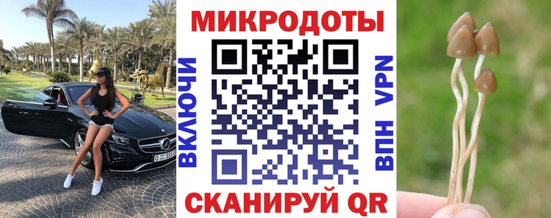 Галлюциногенные грибы Magic Shrooms Жуковский