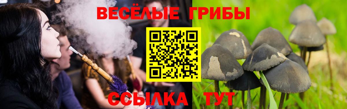 Галлюциногенные грибы мухоморы  Вход с VPN  дарнет шоп  Жуковский 