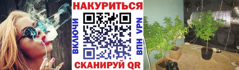 Каннабис семена  Жуковский 